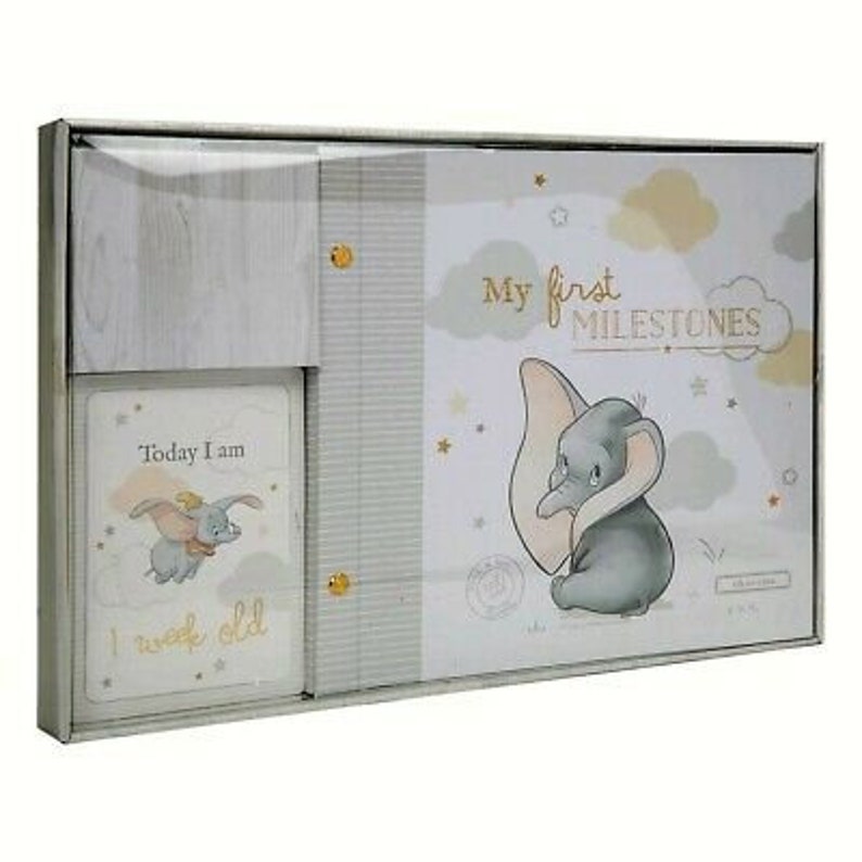 Dumbo Disney photo Album Milestone Card scrapbook Newborn Gift Etsy