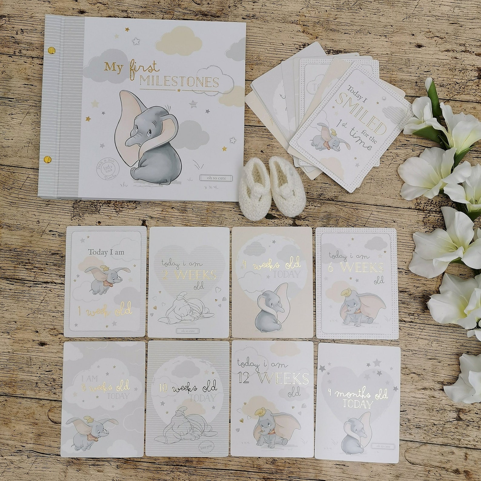 Dumbo Disney photo Album Milestone Card scrapbook Newborn Gift Etsy