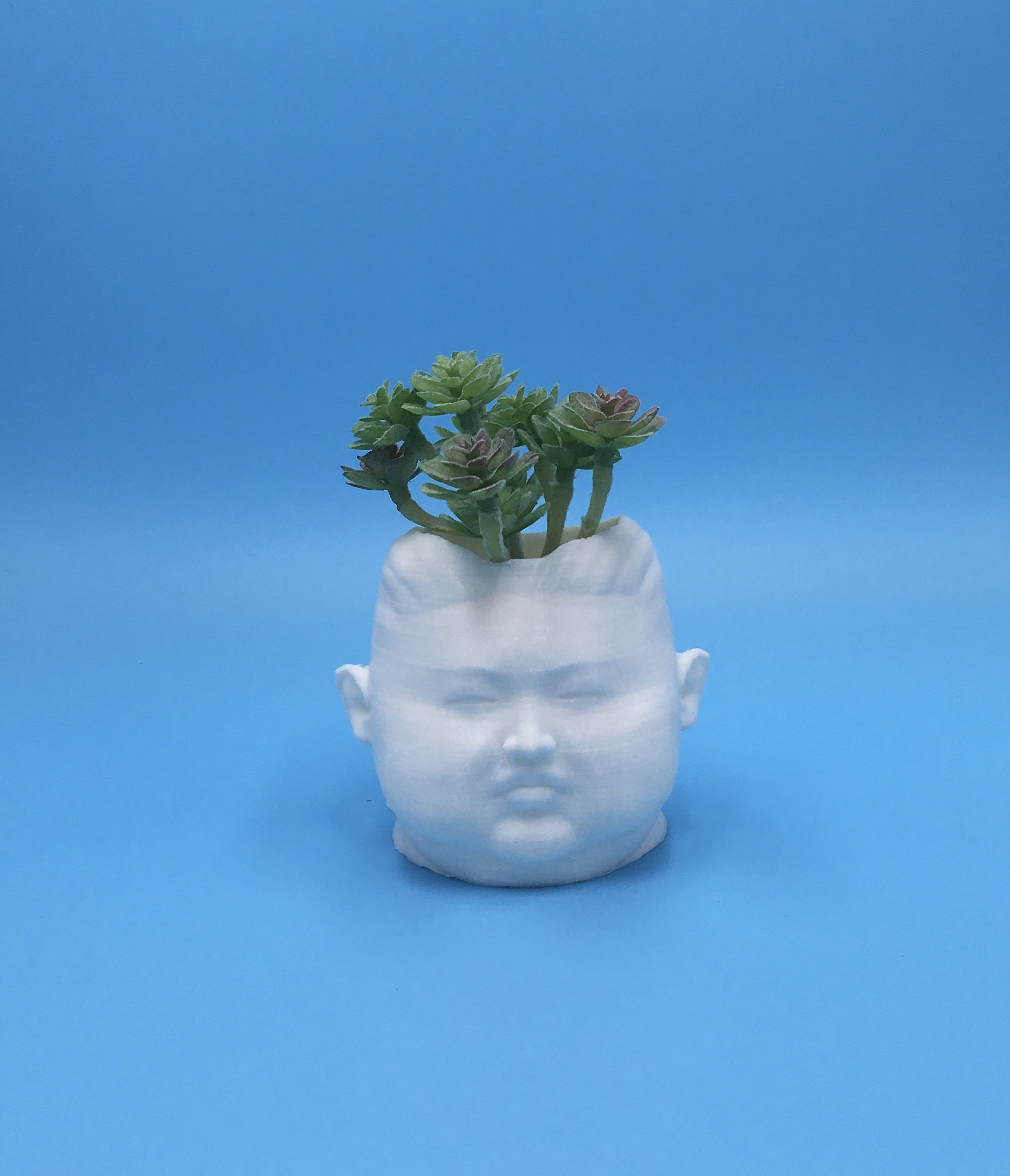 Kim Jong Un Planter Funny Unique Gift Trump Gag Parody Etsy