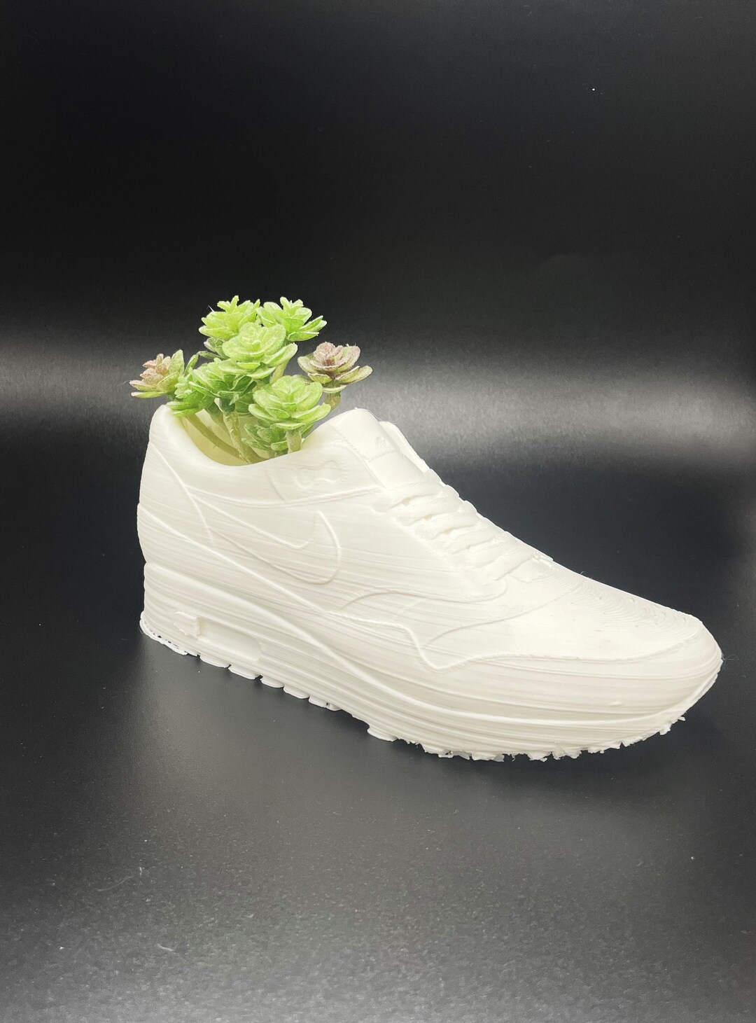 Nike Air Max Shoe Planter Pot for Succulents and Flowers 3D Printed