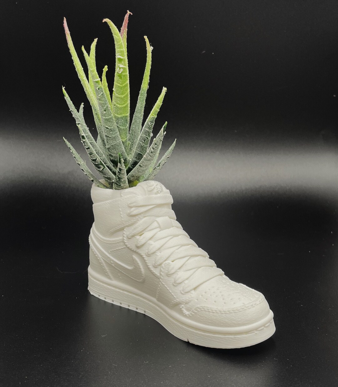 Nike Shoe Jordan One Pot de fleurs pour plantes succulentes et fleurs