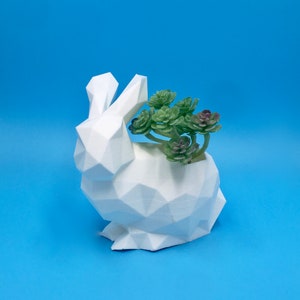 Rabbit Planter Succulent Cute Unique Gift for her, Bunny, Animal, Woodland, Fun Planter, Houseplants