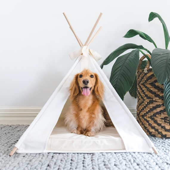 small pet teepee