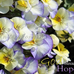 Stiefmütterchen Foto, Stiefmütterchen Wandkunst, Gott blüht Hoffnung, inspirierende Blumenfoto, Bibel-Vers-Foto-Kunst, Blumenfotos, Stiefmütterchen Foto