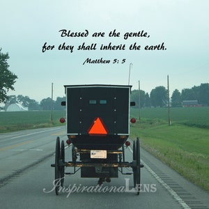 Amish Horse and Buggy, Scripture photo, Inspirational wall art, Amish photos, Unique Bible verse art