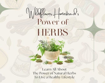 Power of HERBS eBook - Guide to Herbs, Herbology, Herbologist, Herbalist Course, Herbal Certification, Herbs, Tincture, Herb Book, Herbs