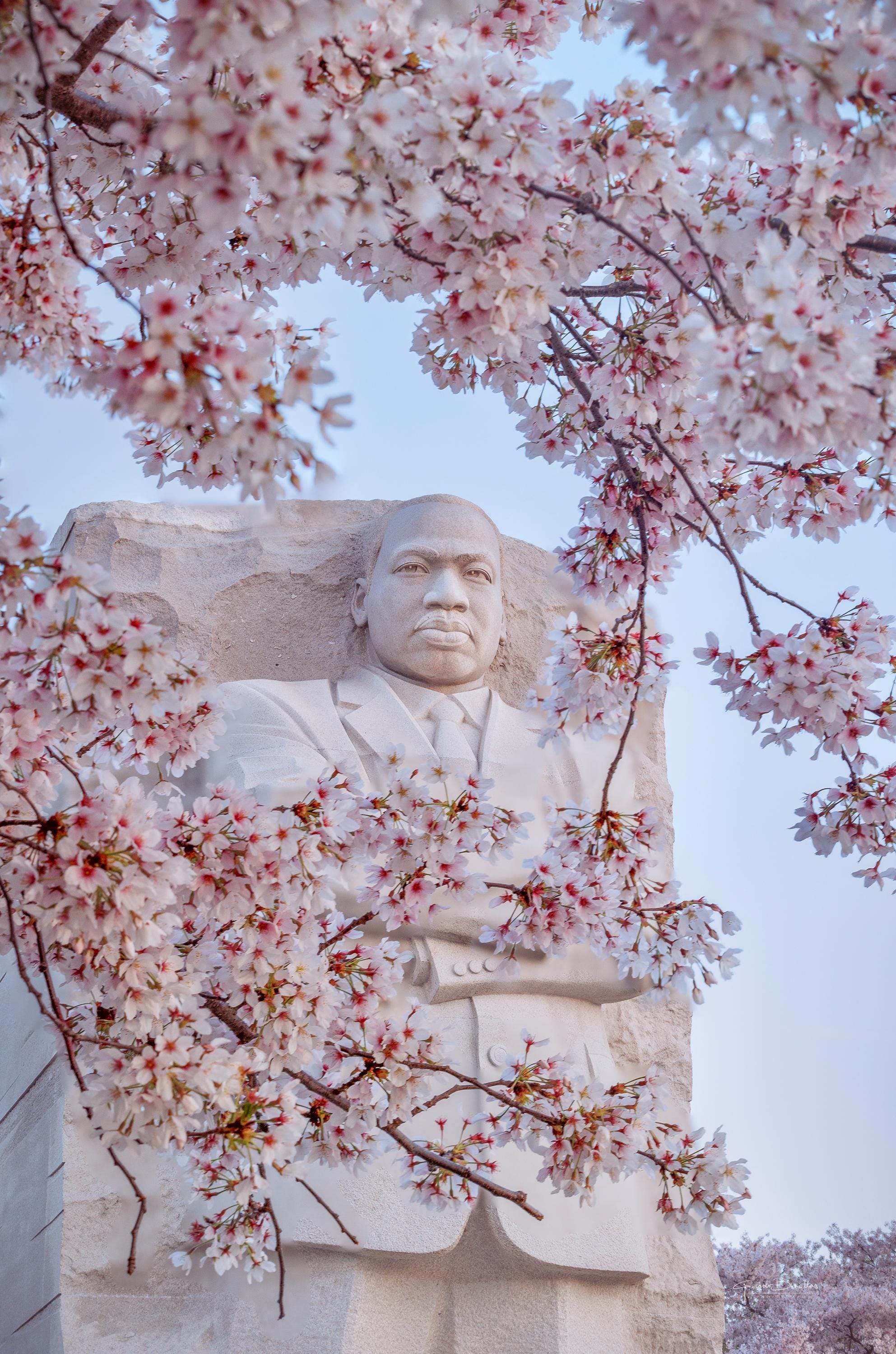 Monumento a Martin Luther King, Jr. - Washington DC 2023