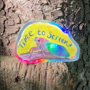Cicada Stickers