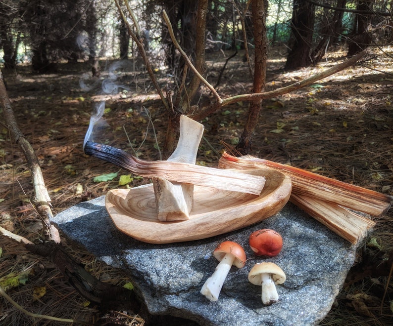 May include: A wooden bowl with a piece of burning wood inside, surrounded by three mushrooms on a gray rock in a forest setting.