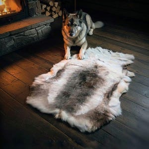 Largest On Etsy | XXXL Finnish Reindeer Hide | Authentic Sami Raised Fur Throw, Viking Decor