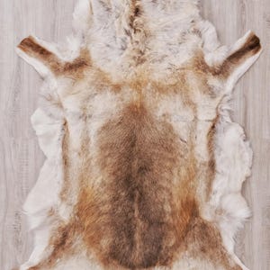 May include: A natural animal hide rug featuring a thick, plush texture with a colour gradient transitioning from a dark brown centre to lighter tan and creamy white edges. The fur is dense and soft, displaying organic, irregular contours throughout.