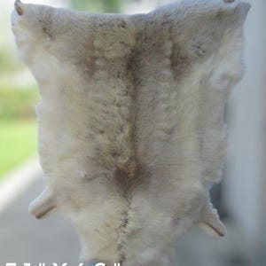 Largest Hides On Etsy | EXACT HIDES Pictured | XXXL Large Finnish Reindeer Hides | Imported from Sami Herders |  Viking Decor | Fur Throw