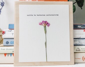 nolite te bastardes carborundorum; cuento de la criada, margartet atwood, arte feminista, impresión latina, arte de la máquina de escribir, cita de flores prensada