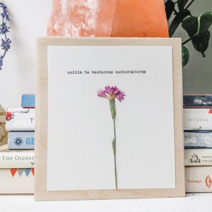 nolite te bastardes carborundorum; cuento de la criada, margartet atwood, arte feminista, impresión latina, arte de la máquina de escribir, cita de flores prensada
