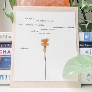 sappho, liebe treibt mich an; queer art, personalisierter Gedichtdruck, lesbisches Hochzeitsgeschenk, LiteraturPoster, gerahmte Poesie, rosa Blumen Kunstdruck