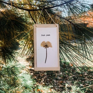 mierda sí; arte de la máquina de escribir, regalo divertido, arte de la flor prensada, impresión de la flor prensada, arte de la pared floral, regalo del amigo, decoración de la pared, arte de la pared imagen 3
