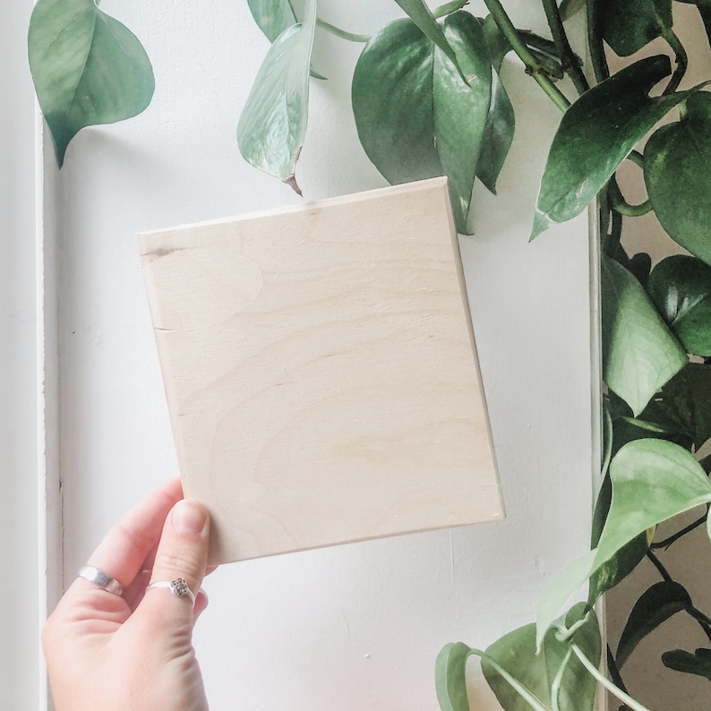 May include: A square, unfinished wooden plaque held by a hand. The light-colored wood has a natural grain and is set against a white wall with green leafy plants. The plaque is approximately 8 inches square.