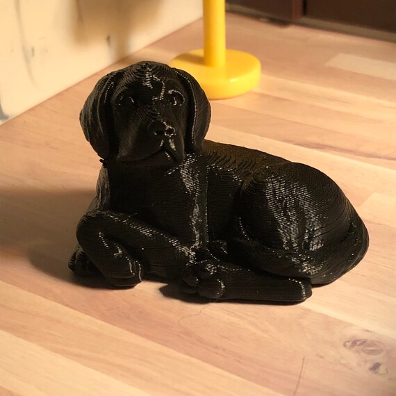 miniature black labrador