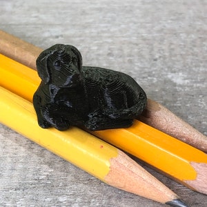miniature black labrador