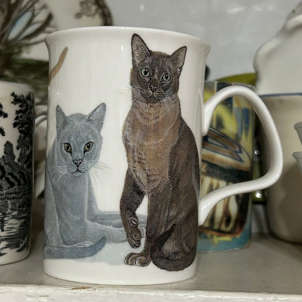 Vintage Roy Kirkham Cats Galore Fine bone china Mug