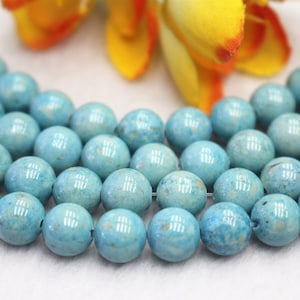 blue fossils Smooth Round beads 4mm 6mm 8mm 10mm 12mm fossils beads wholesale,fossils beads 15" strand