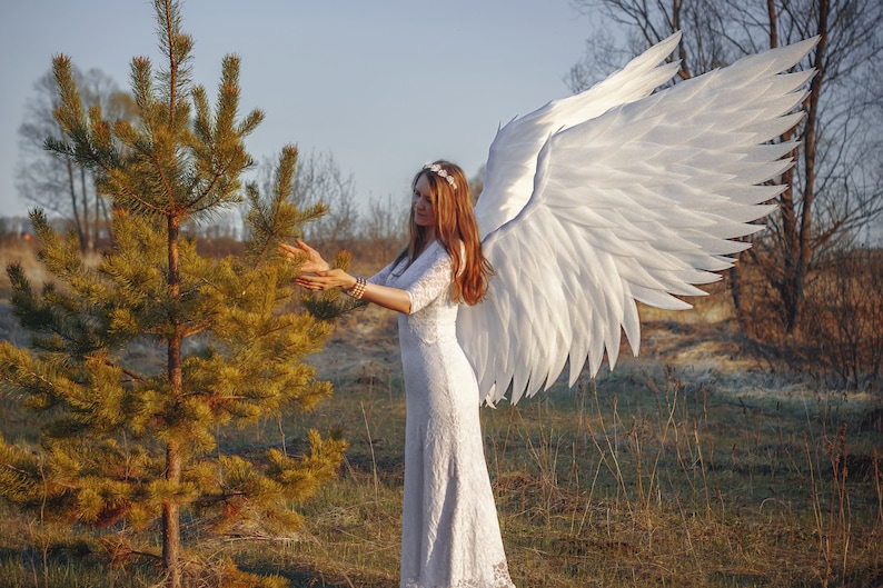 Angel Wings Costume Adult
