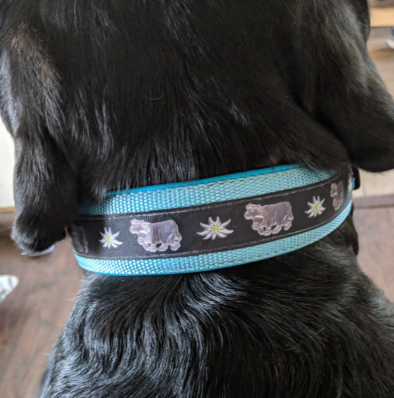 SWISS DOG COLLAR 1.5 Cow and Edelweiss Ribbon Ocean Etsy