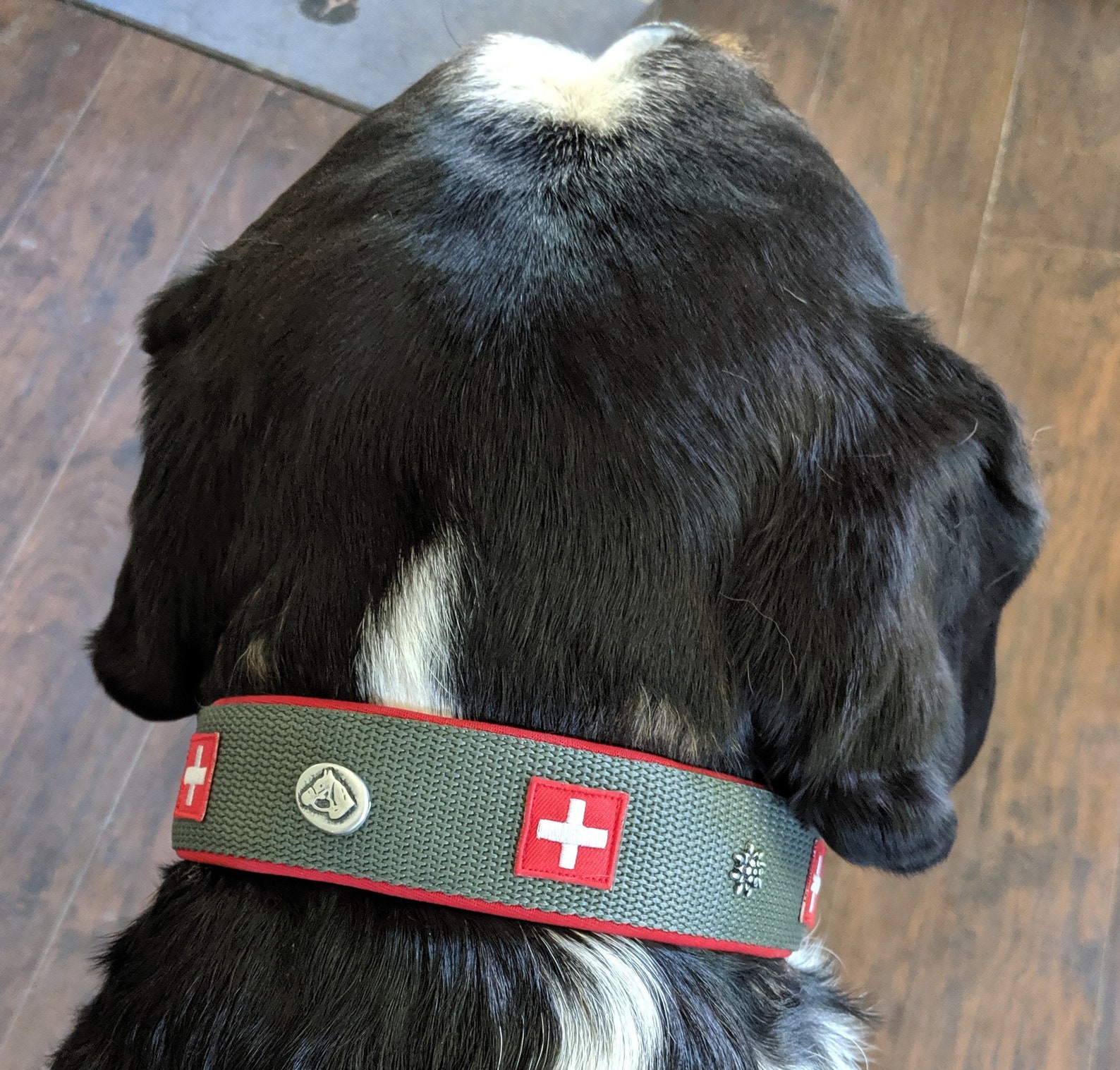 SWISS DOG COLLAR 1.5 in grey nylon red neoprene swiss Etsy