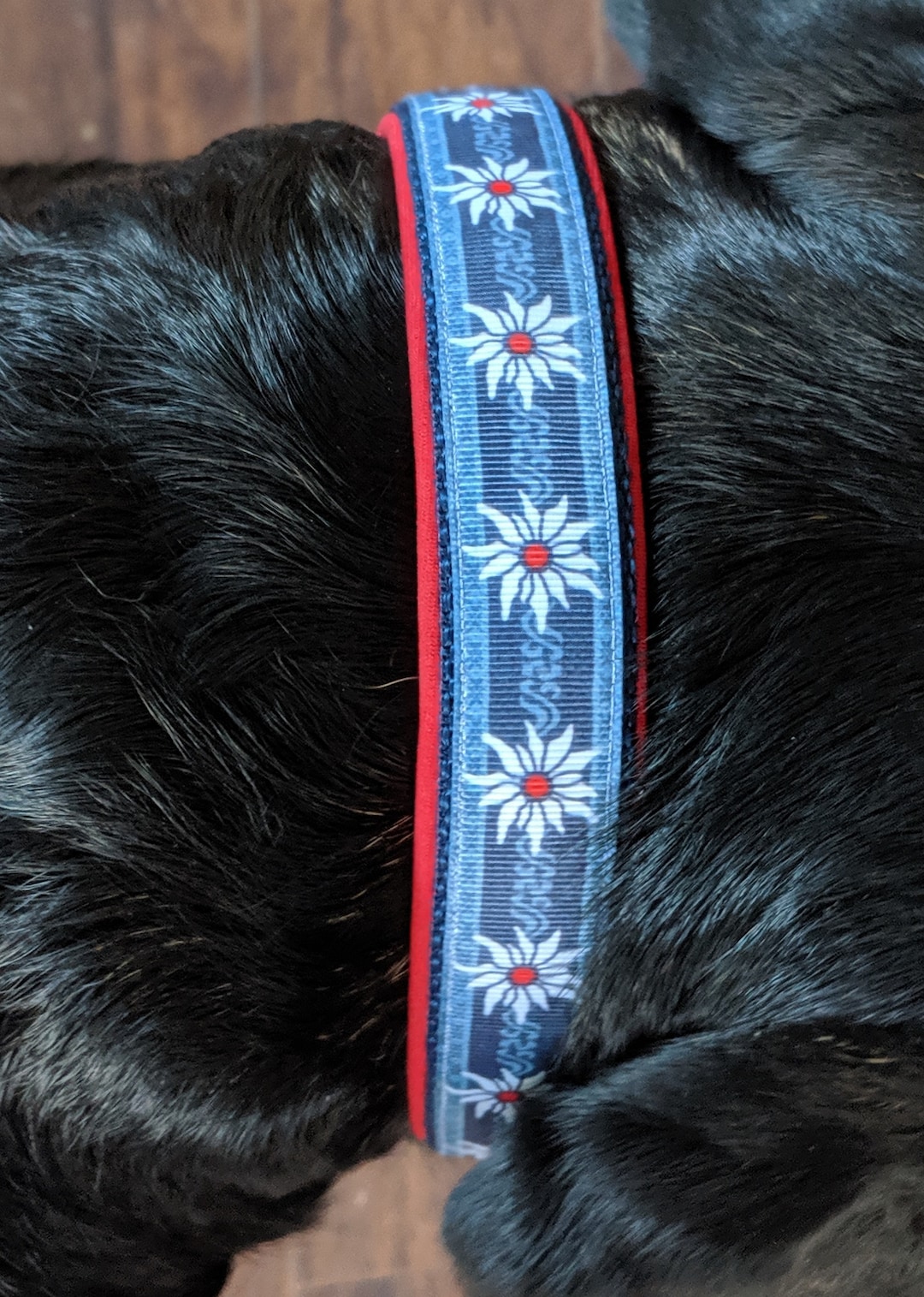 SWISS DOG COLLAR 1 Edelweiss Ribbon, Navy Nylon, and Red Neoprene