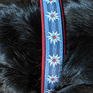 SWISS DOG COLLAR - 1" edelweiss ribbon, navy nylon, and red neoprene/ Greater Swiss Mountain Dog/ Bernese Mountain Dog