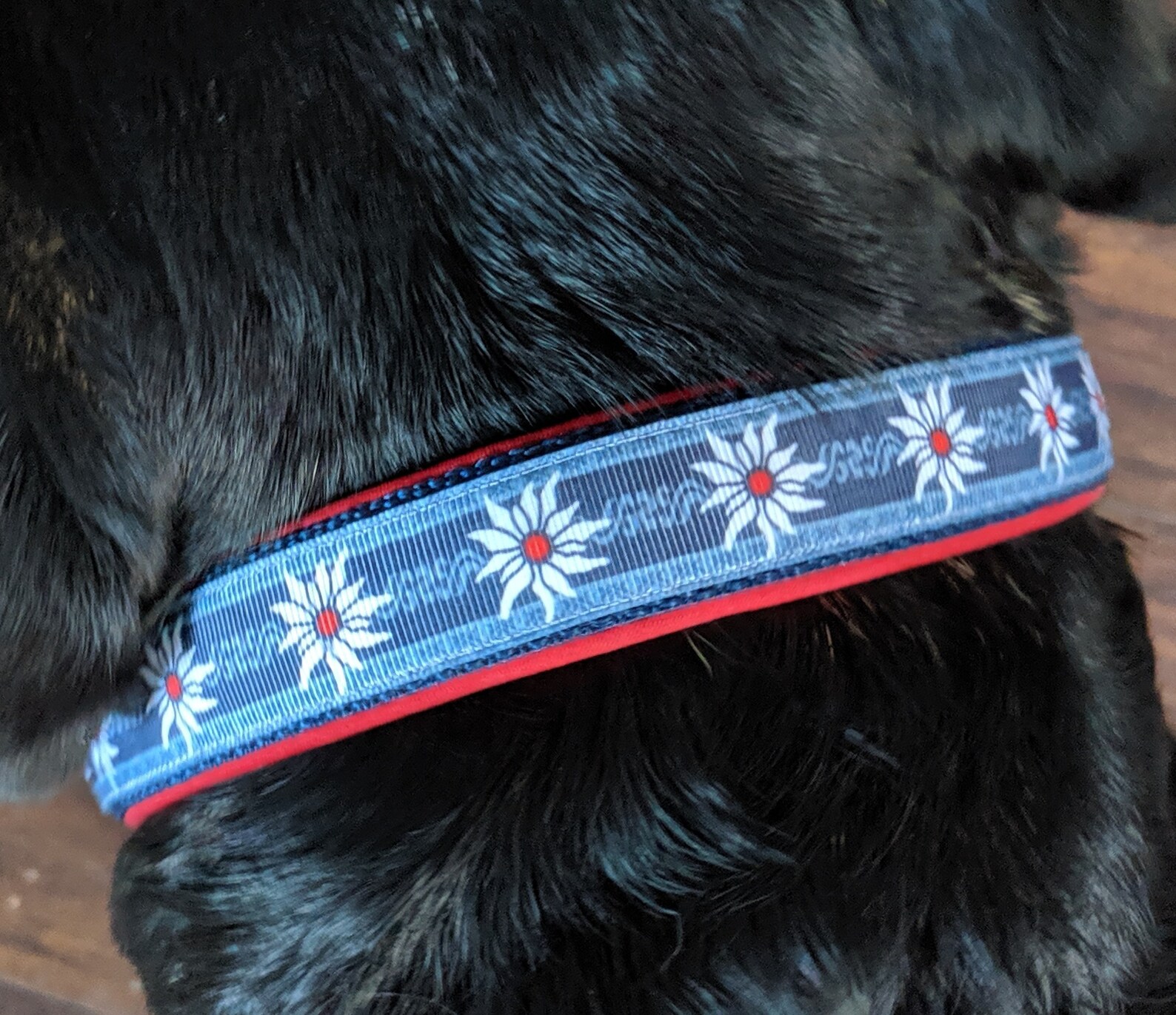 SWISS DOG COLLAR Cinta edelweiss de 1 nylon marino y Etsy