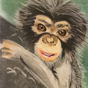 Baby Chimpanzee