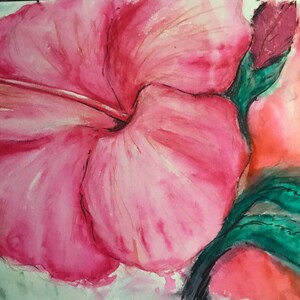 Pink Hibiscus