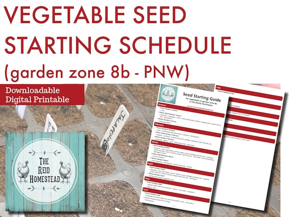 Seed Starting Schedule Vegetable Garden Zone 8b Gardening Planner Seed Planting  Schedule Printable Digital Download - Etsy