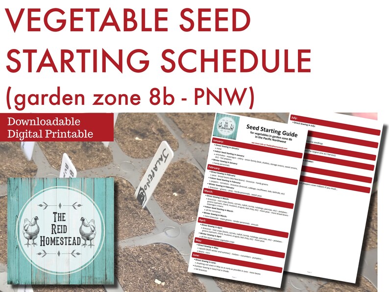 Seed Starting Schedule Vegetable Garden Zone 8b Gardening Planner Seed