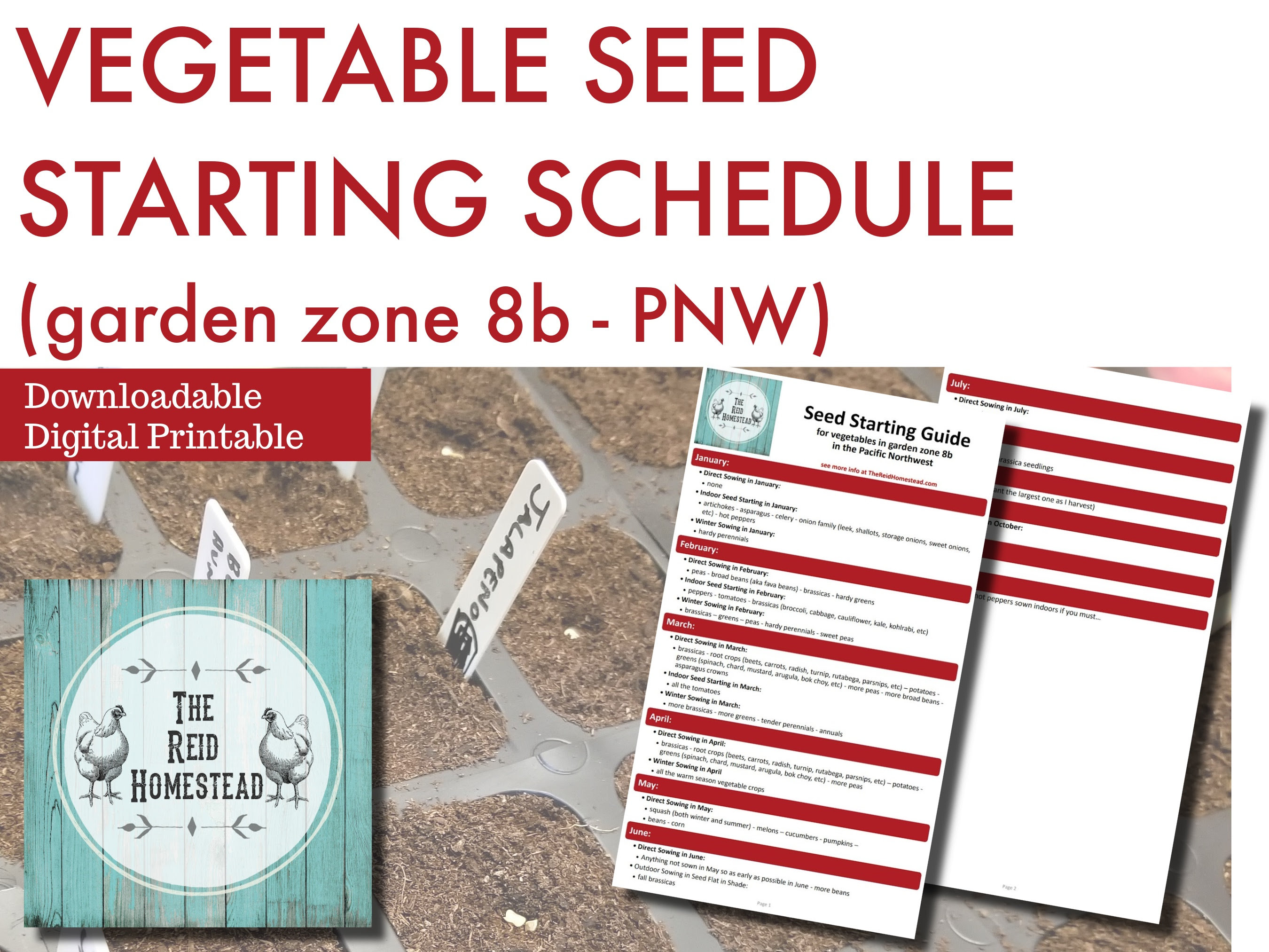 Seed Starting Schedule | Vegetable Garden Zone 8b | Gardening Planner ...