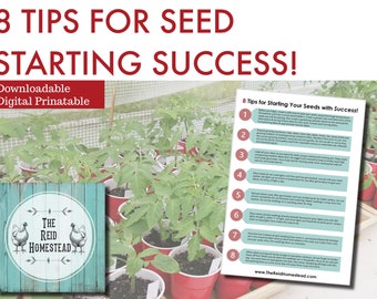 Indoor Seed Starting Guide | Tips for Starting Seed | Vegetable Gardening | Seed Planting Schedule  | Garden Planner| Printable