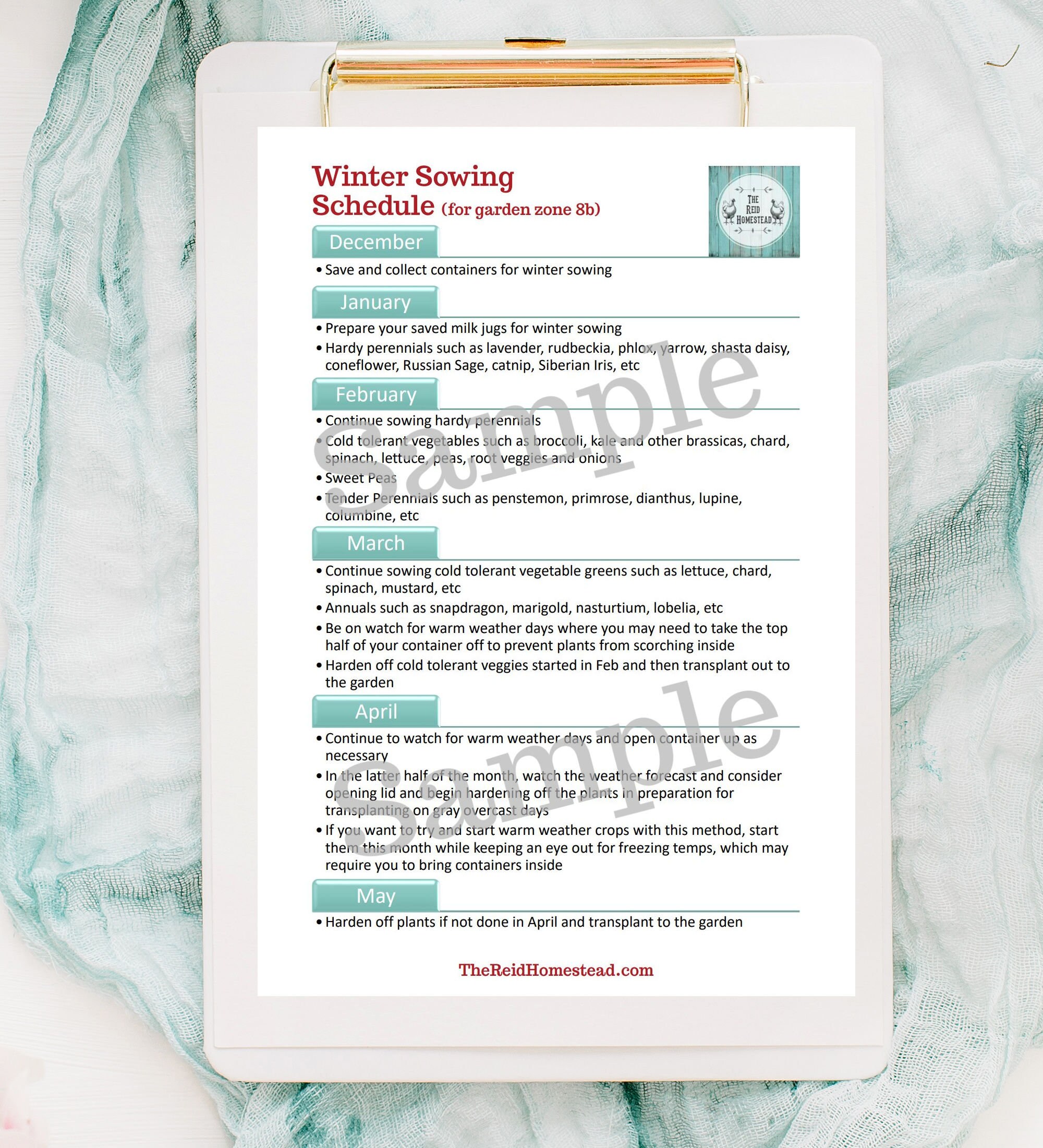 Seed Starting Guide Printable Bundle | Tips and Calendar for Starting ...