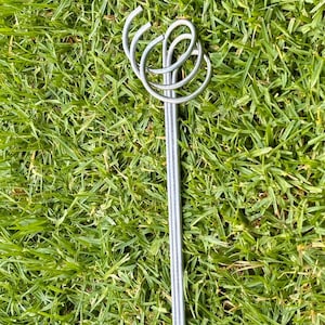 May include: A silver metal garden weeder tool with a looped design at the top and a long, straight handle. The tool is set against a backdrop of green grass.