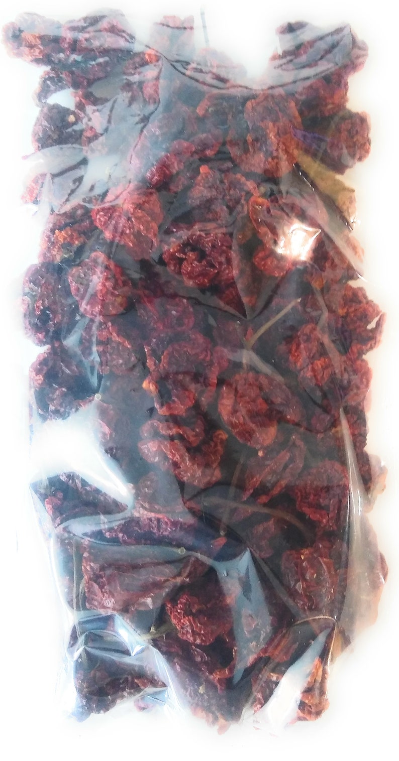 REAPER X 100 Count Whole DRIED Chili Pepper Pods 33 Hotter Than