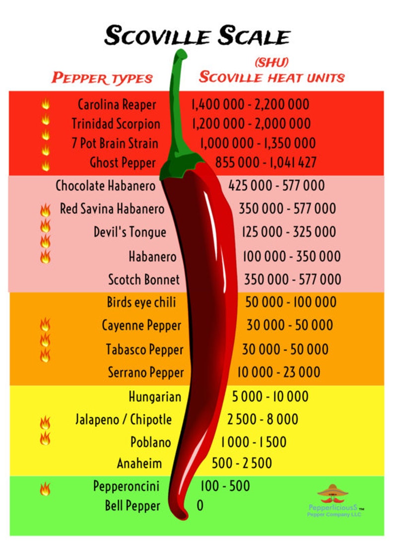 50 Dried Gourmet CAROLINA REAPER Pepper PODS Worlds Hottest Chili Etsy