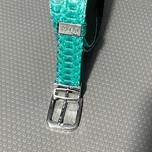May include: A teal green snakeskin belt with a silver buckle and the word "Drisly" embossed on the buckle.