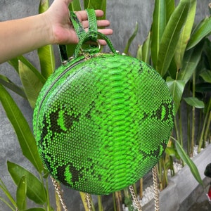 May include: A green snakeskin backpack with a round, circular shape and a gold zipper. The bag has a textured, scaly pattern.