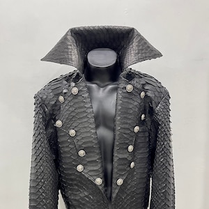 May include: A black snakeskin jacket with a high collar and silver buttons. The jacket has a long tail in the back.