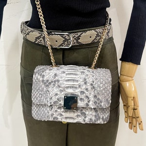 May include: A small, silver snakeskin-patterned handbag with a gold chain strap. The bag has a rectangular shape and a flap closure with a silver metal accent.