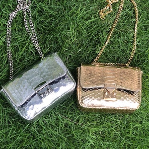 May include: Two small, rectangular handbags with chain straps on green grass. One is silver, the other gold, both with a textured, snake-like pattern. Each bag has a metal clasp closure.