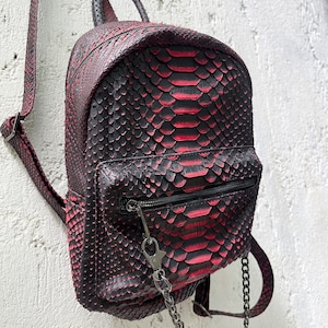 May include: A small black and red snakeskin backpack with a silver chain strap.