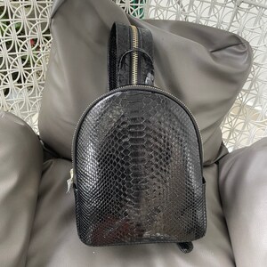 May include: A black leather backpack with a snakeskin pattern. The backpack has a gold zipper and a top handle.