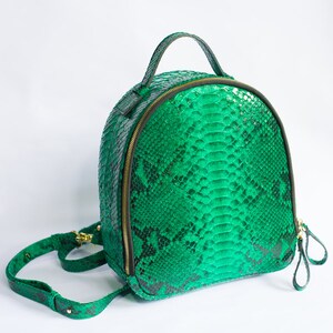 May include: A green snakeskin backpack with a gold zipper and adjustable straps.
