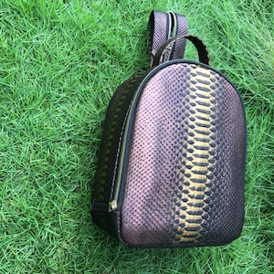May include: A black and gold snakeskin backpack with a zip closure. The backpack is on a green grassy surface.
